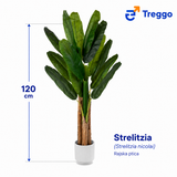 TREGGO - UMJETNA BANANA - 120cm